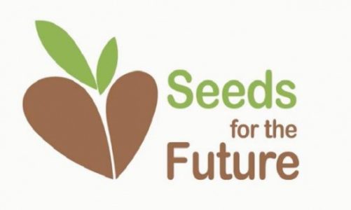 Wystartowała IV edycja konkursu „Seeds for the Future Polska”
