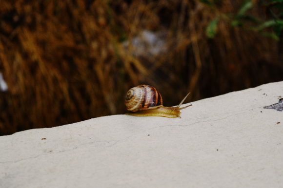 6 rzeczy, przez które twój komputer jest wolniejszy od ślimaka IT i technologie, LIFESTYLE - Czy twój komputer zwalnia? Czy łatwiejsze jest przenoszenie gór niż wielozadaniowość w Twoim komputerze? Oto 6 możliwych przyczyn, które mogą tłumaczyć słabą wydajność komputera.