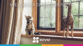 Zapewnij bezpieczeństwo swojemu futrzakowi IT i technologie, LIFESTYLE - Zapewnij bezpieczeństwo swojemu futrzakowi